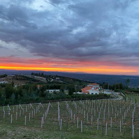 Cdr Moderne Luxe En Spectaculair Uitzicht Bed & Breakfast Vila Cova de Alva Dış mekan fotoğraf